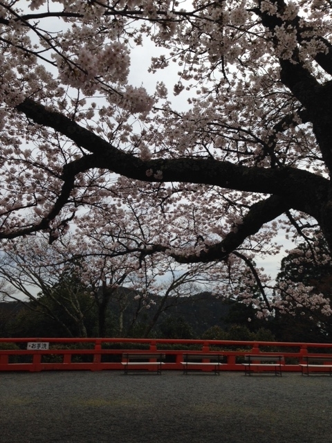 鞍馬寺.JPG