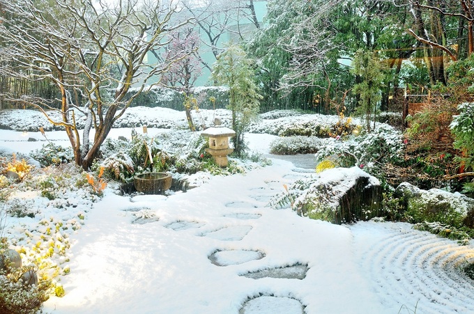 庭園雪1.jpg