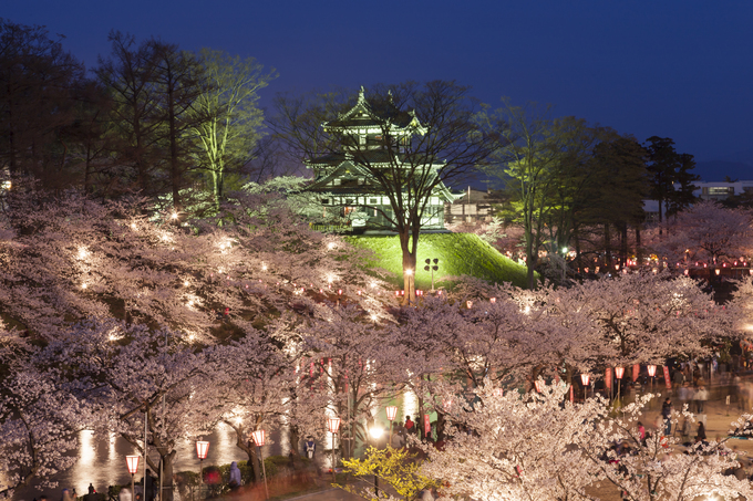 高田城百万人観桜会 (1).jpg