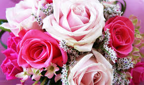 エヴァウイン小山プレミアムスィーツのプランナーブログ バラの花言葉 赤 ピンク編 結婚式場 ウエディング 挙式 ブライダル ゼクシィ