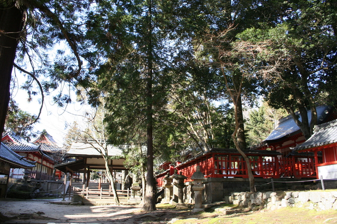 手向山八幡宮 012.jpg