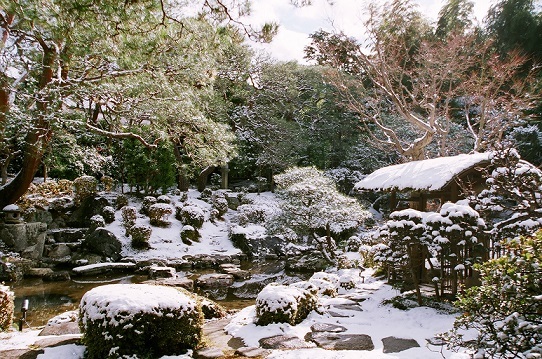 冬　日本庭園.jpg