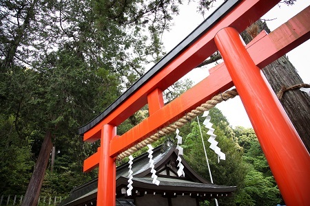 吉田神社 (2).jpg