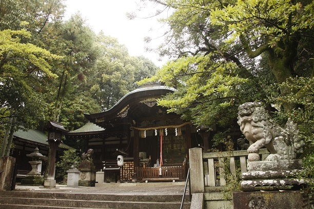 岡崎神社 (5).JPG