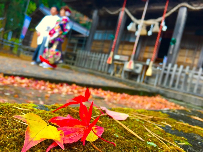 土津神社.jpg