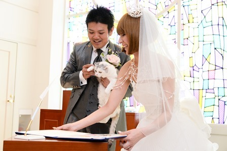 アール ベル アンジェ ｎａｇｏｙａのプランナーブログ ネコ がテーマのウェディング 結婚式場 ウエディング 挙式 ブライダル ゼクシィ