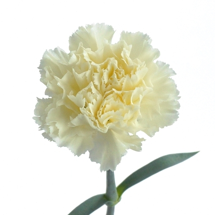 Grandair グランディエール のプランナーブログ 花 装花の記事一覧 結婚式場 ウエディング 挙式 ブライダル ゼクシィ