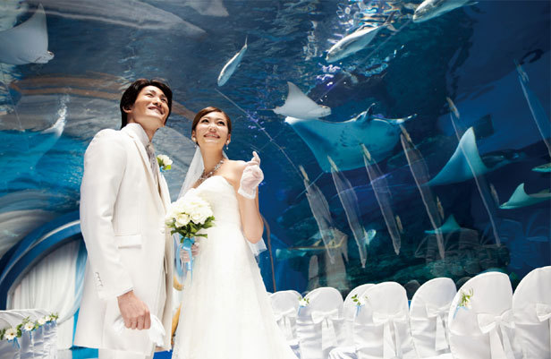 品川プリンスホテルのプランナーブログ 水族館ウエディング 結婚式場 ウエディング 挙式 ブライダル ゼクシィ