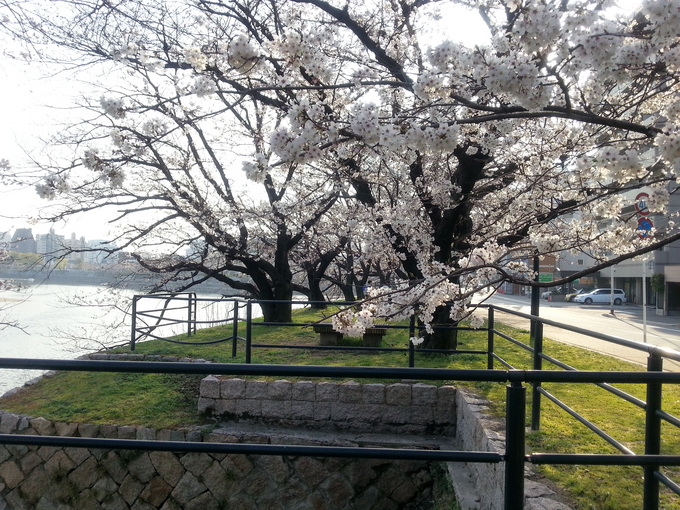 20130328_163745.jpg