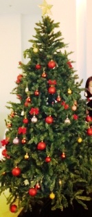 Christmas tree__.JPG