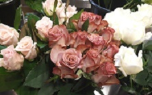 マリエール山手 セント リージェンツ大聖堂 のプランナーブログ 花の女王 結婚式場 ウエディング 挙式 ブライダル ゼクシィ