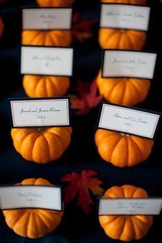 Halloween-Weddings4.jpg