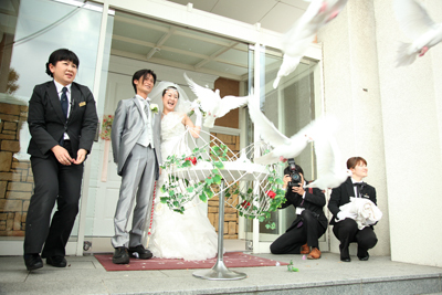 ロイヤルパーク アルカディアのプランナーブログ 祝い鳩 結婚式場 ウエディング 挙式 ブライダル ゼクシィ