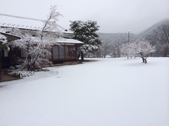 雪川上2.JPG