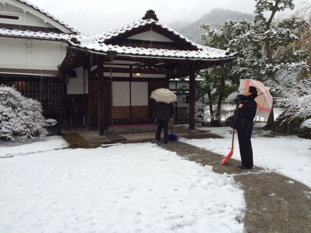 雪川上3.JPG