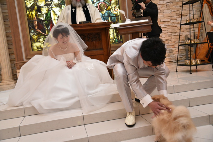 ｆｅｌｉｃｉａ Cｏｕｒｔ フェリシアコート のプランナーブログ 結婚式にはだいすきな愛犬も招待したい 結婚 式場 ウエディング 挙式 ブライダル ゼクシィ