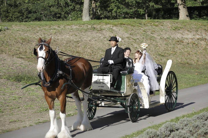 ノーザンホースパークのプランナーブログ 馬車入場 結婚式場 ウエディング 挙式 ブライダル ゼクシィ