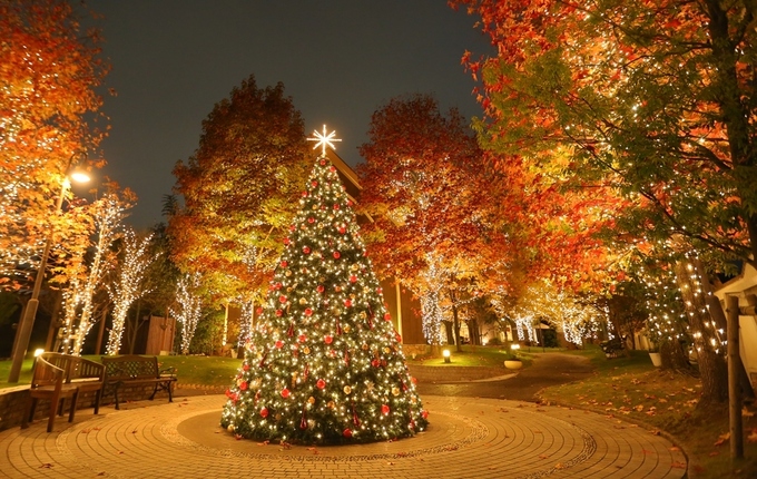 クリスマスツリー.JPG