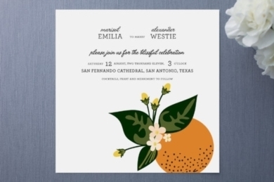 11812_citrus-crush-wedding-invitations-by-emily-ranneby-1363815184-866[1].jpg