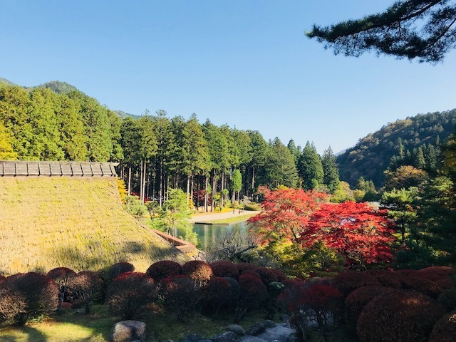 古峯神社（ﾛｹﾌｫﾄ4）.jpg