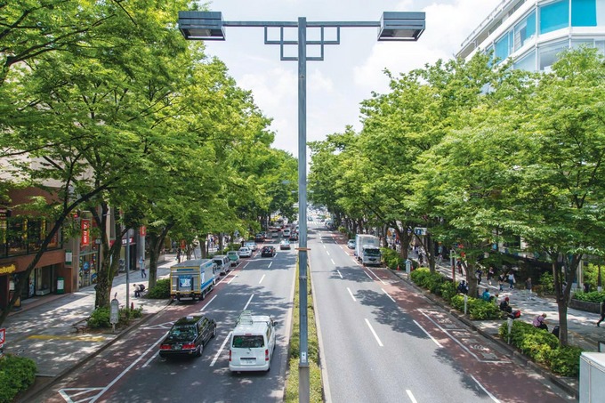 omotesando.jpg