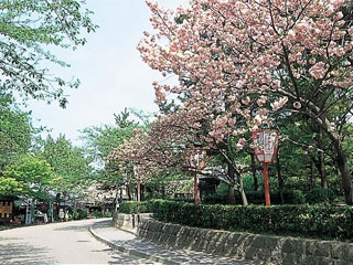 円山公園.jpg